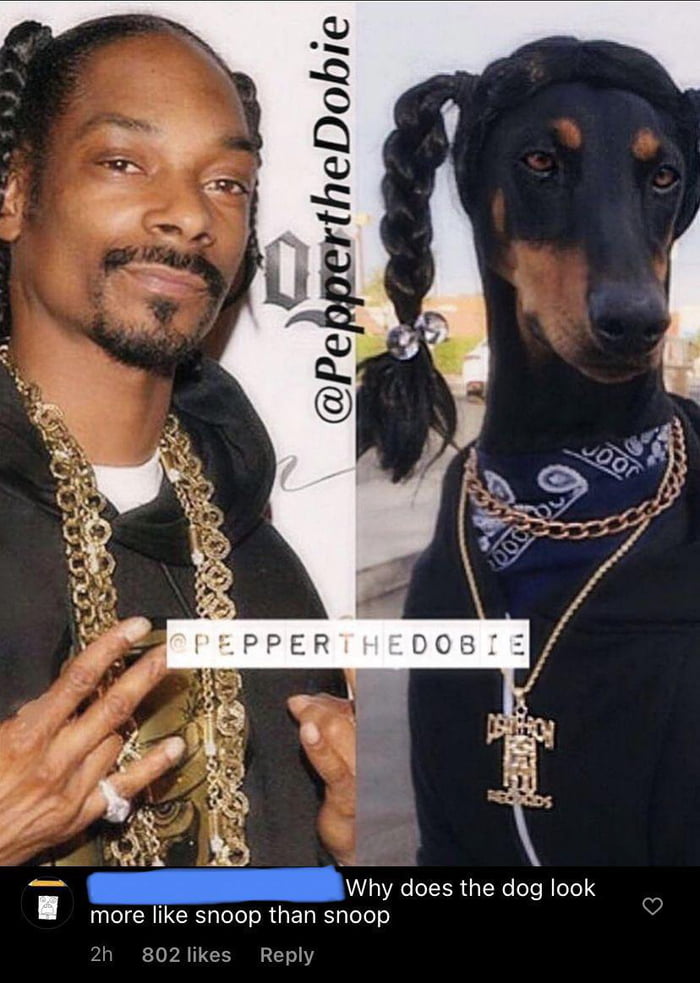 Snoop dawg lookin fresh - 9GAG