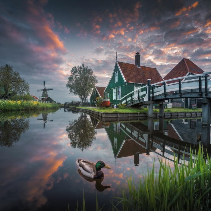 Zaanse Schans Netherlands Gag