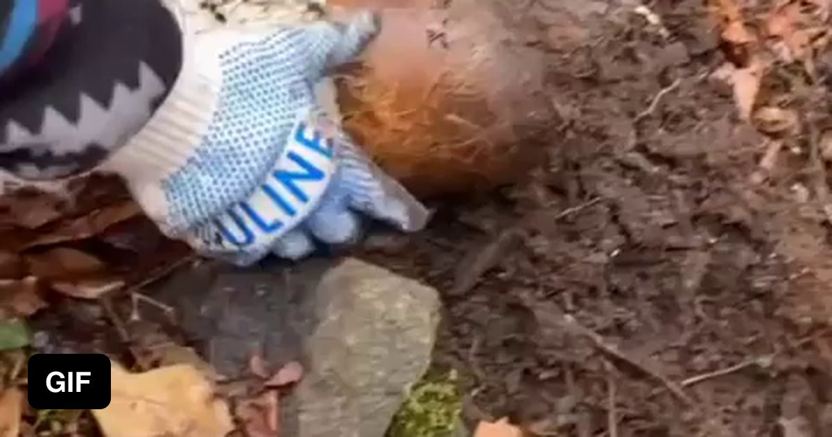 Oddly satisfying - 9GAG