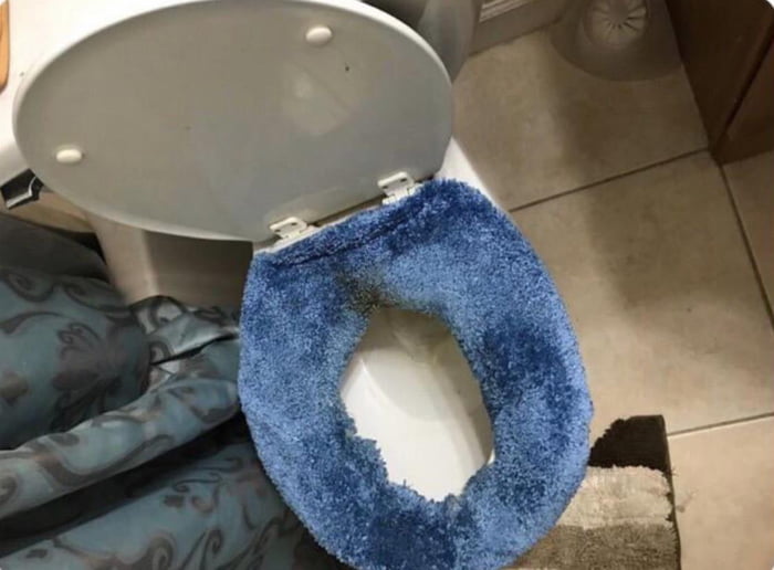 This toilet seat cover at their friends house 9GAG