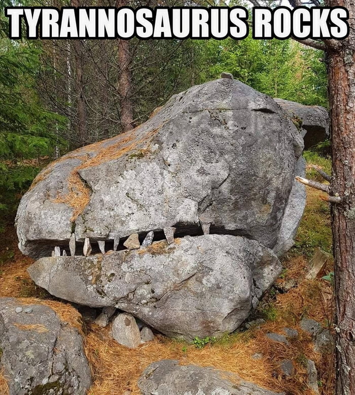 Dinosaurs Rock - 9GAG