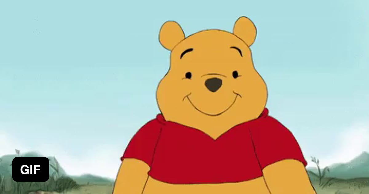 Winnie Why GAG