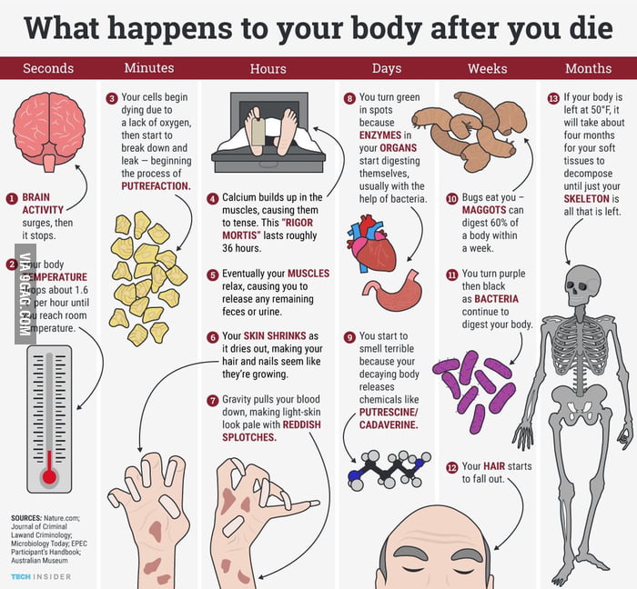 Here's what happens to your body when you die 9GAG