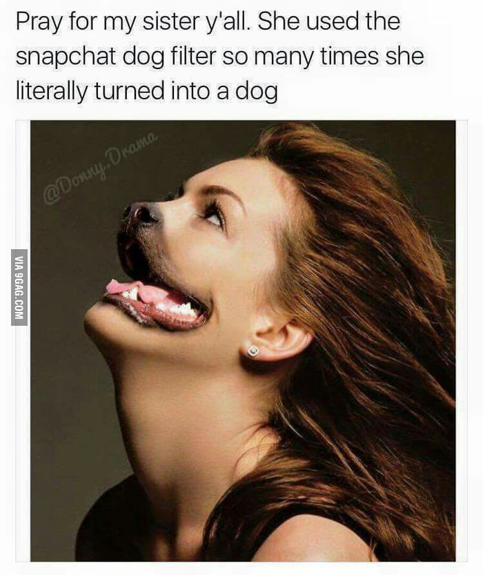 This Brings A Whole New Meaning To The Term Doggy Style 9GAG