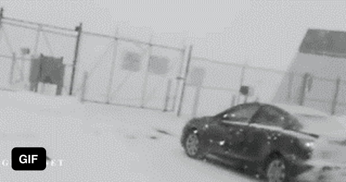 What happens when 2 idiots pee on a electric fence! 9GAG