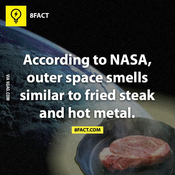 Does the moon smell like bacon? 9GAG