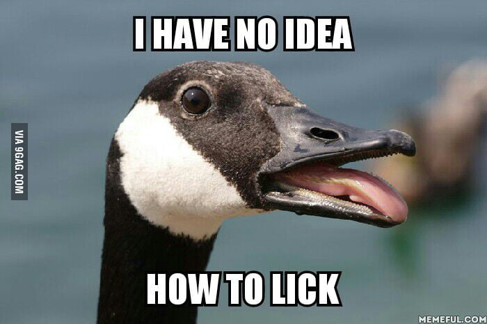 canada goose 9gag canada goose 9gag