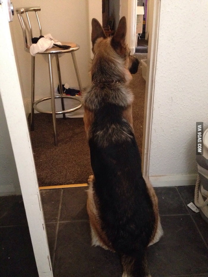 Toshiba майн. I forgot. I forgot to lock. Remember forget. I forgot i remember.