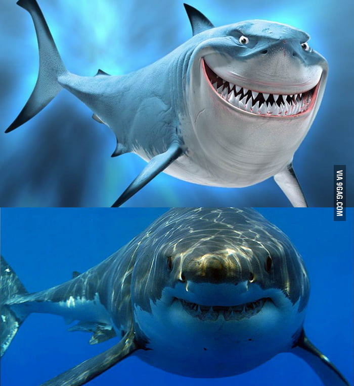 Finding Nemo vs. real life. He exists! - 9GAG
