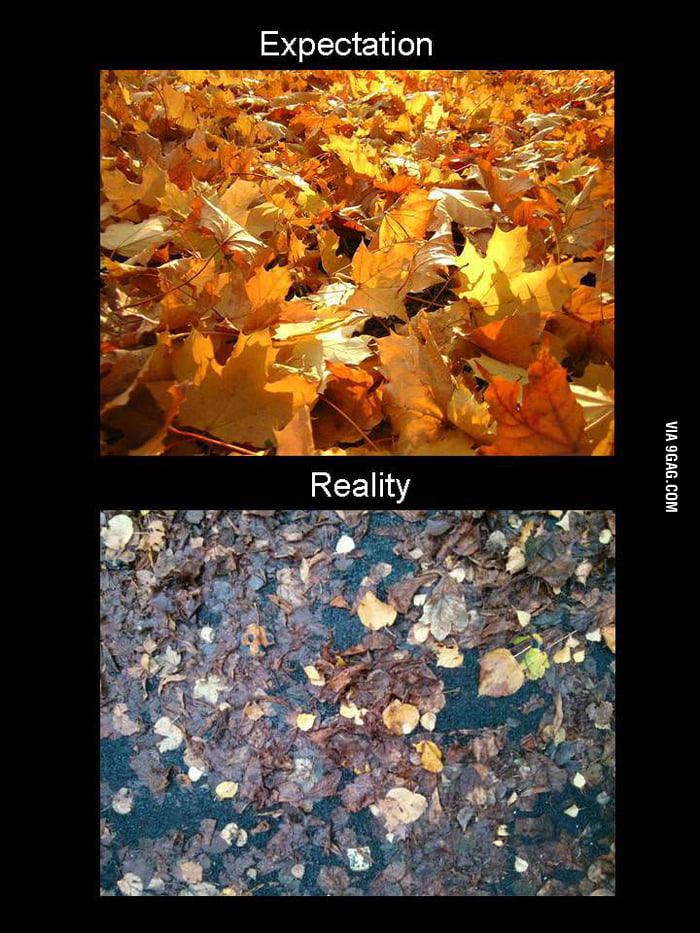 Fall Is Disappointing. - 9GAG