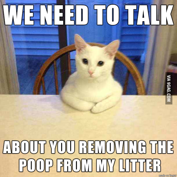 Conversation Cat - 9GAG