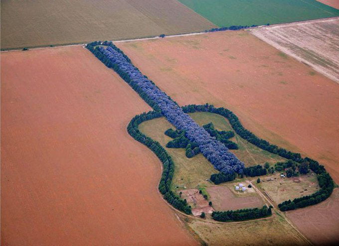 Pedro Martin Urata from Argentina planted a guitar-shaped forest of 7,000  trees, and more than 1km in length, in memory of his wife who loved music,  who died at age of 25
