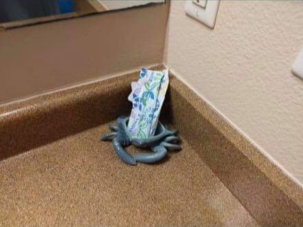 menstruation crustacean warmies