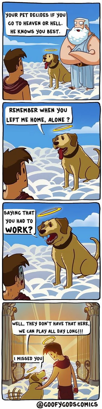 Dog Spelled Backwards Is God 9gag