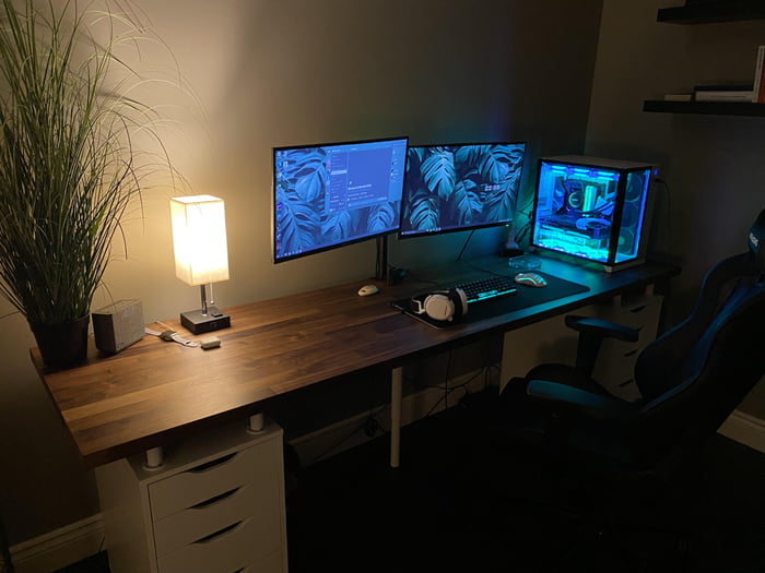 New setup - going for the nature vibe, any recommendations? - 9GAG