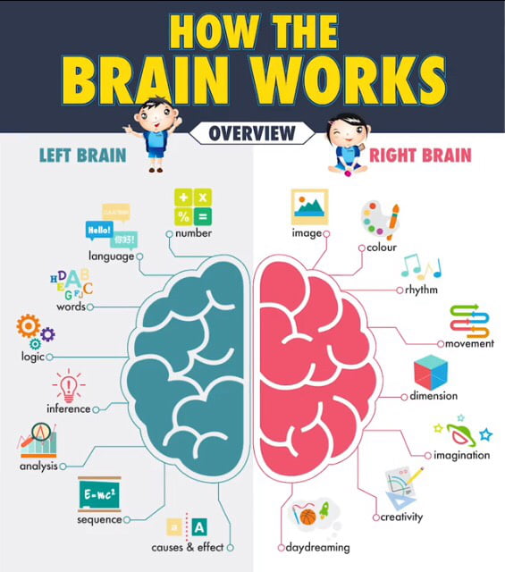 The Mind And Brain Work The Mind And Brain Work