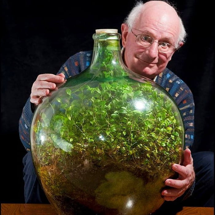 david-latimer-put-some-seed-and-soil-in-a-bottle-68-years-ago-to-find