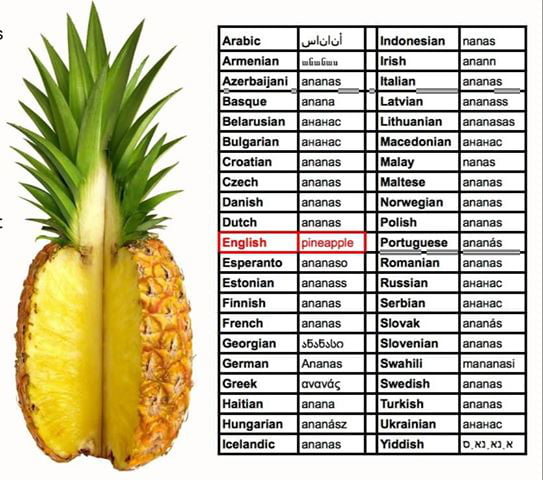 pineapple-in-different-languages-9gag