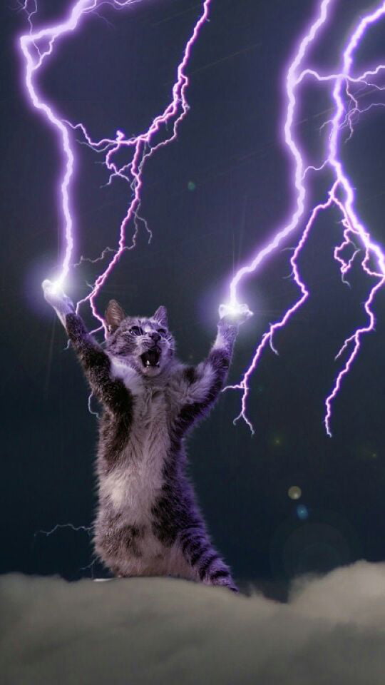 All hail the Lightning  God Cat  a nice phone wallpaper 9GAG