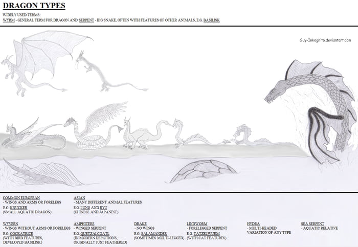 Dragon Types / races / species chart another one - 9GAG