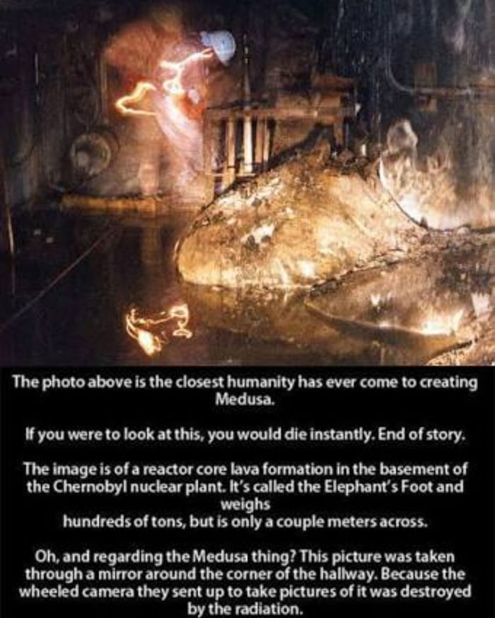 Chernobyl S Elephant S Foot 9gag