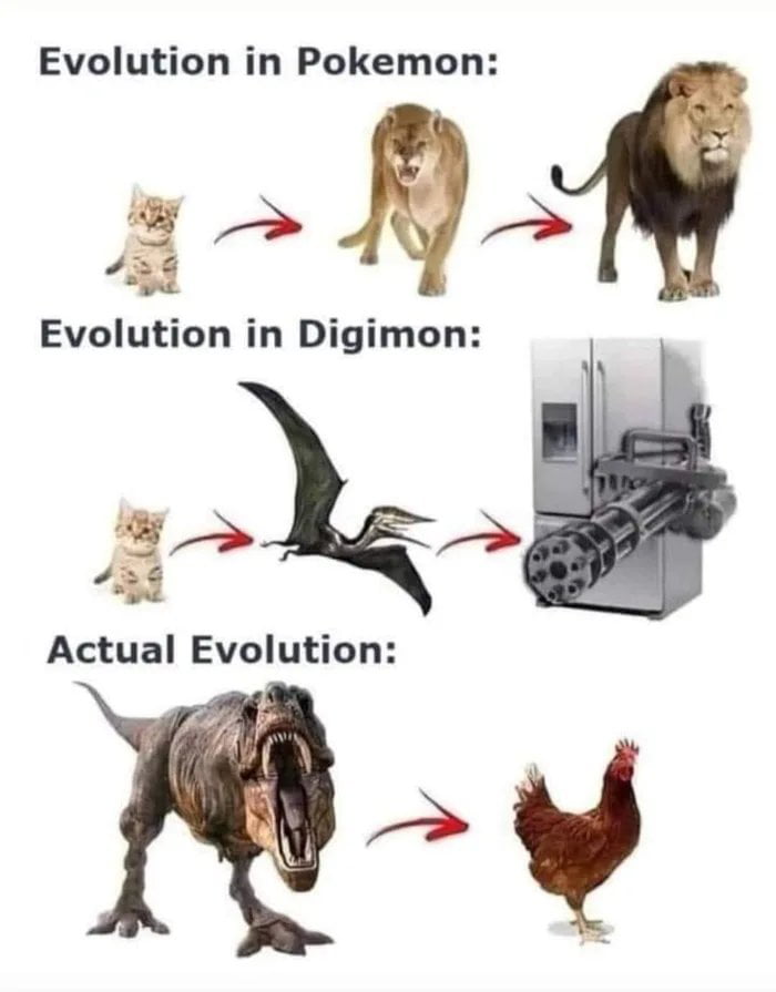 Evolution - 9GAG