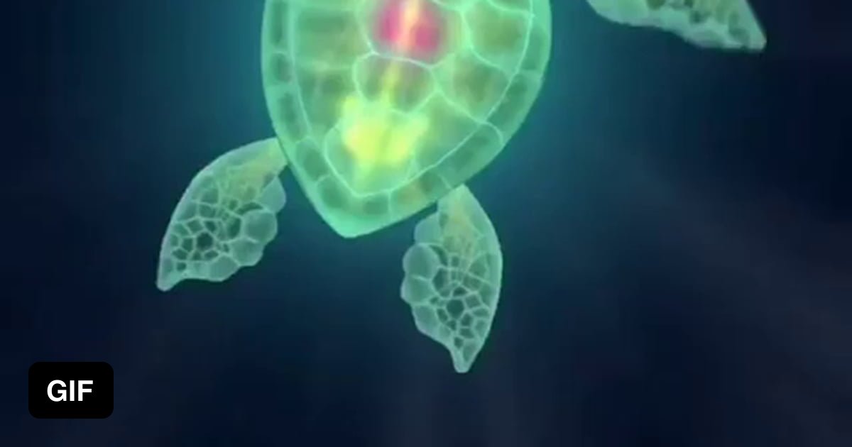 Digital turtle - 9GAG