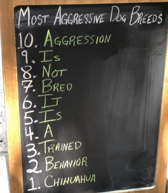 10 Most Aggressive Dog Breeds Meme