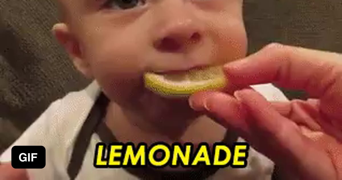 Never fails to make me laugh - 9GAG