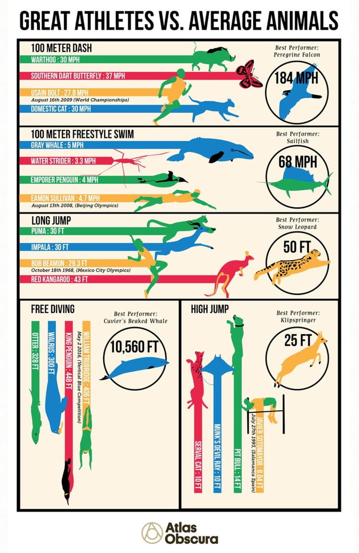 Olympics athletes vs average animals - 9GAG