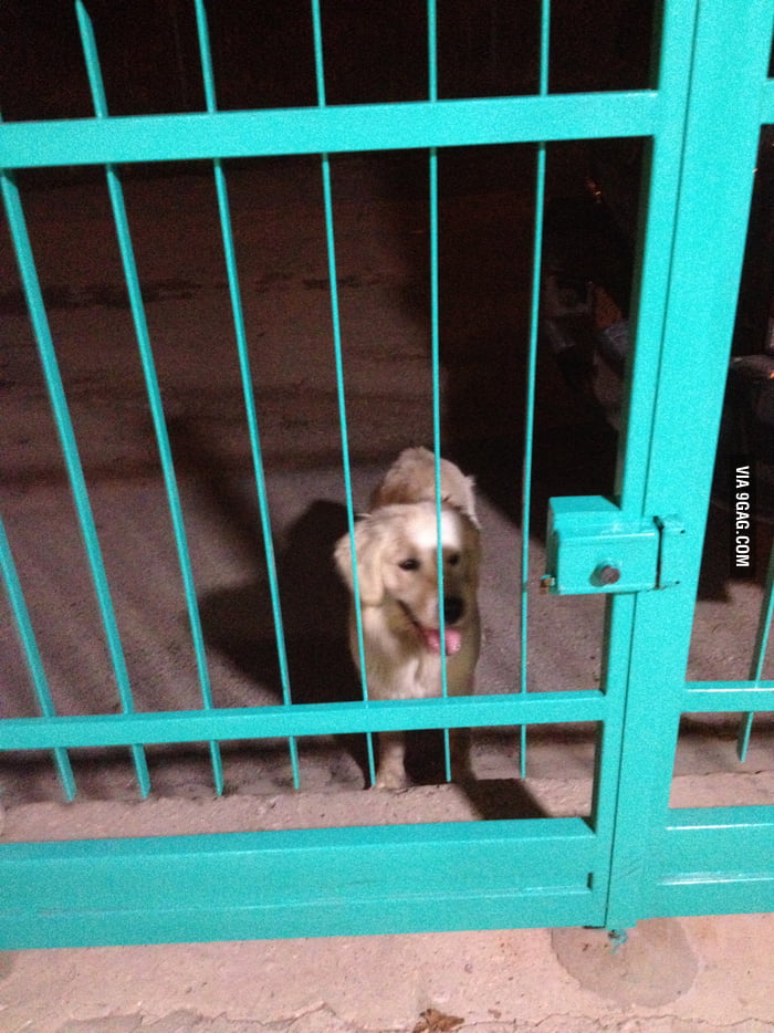 He followed me home the question is : should I or shouldn't give