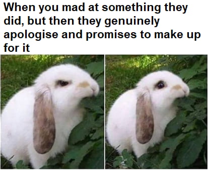 Simply can't stay mad at them. :D - 9GAG