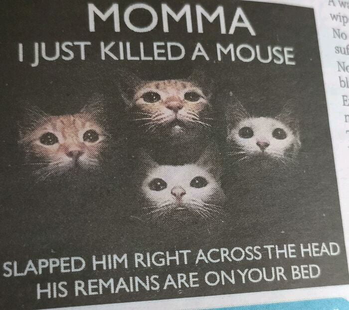 Momma Oh Oh Ooooh 9GAG momma-oh-oh-ooooh-9gag