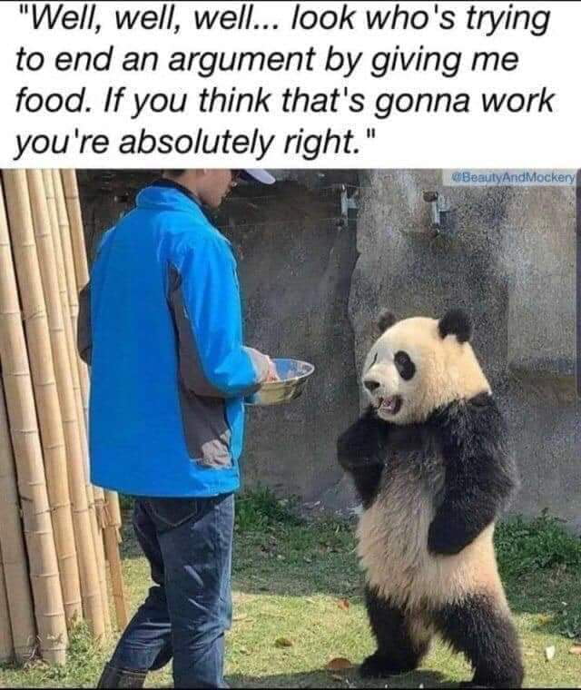 Wholesome Panda 9gag