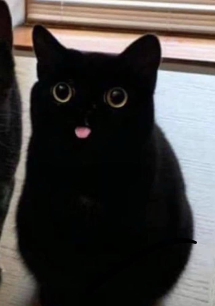 Chonky void mlep - 9GAG