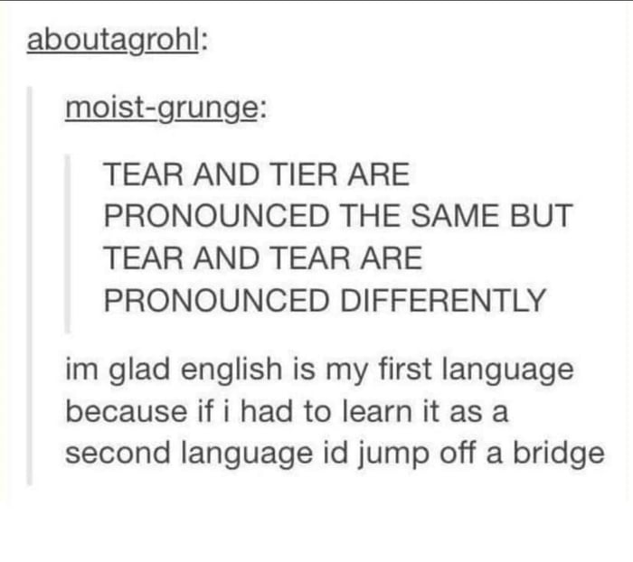 Pony bologna Sean Bean 9GAG