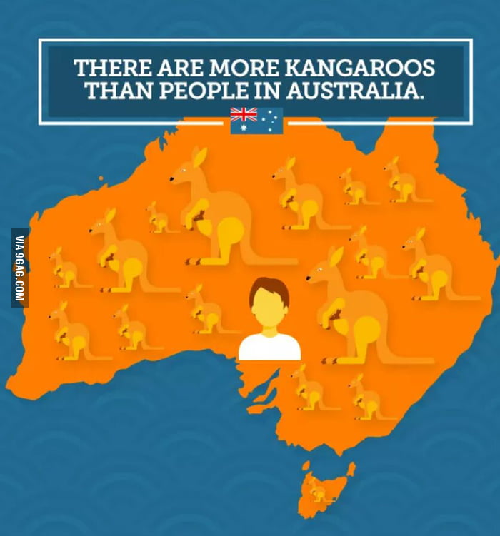 interesting-fact-about-australia-9gag