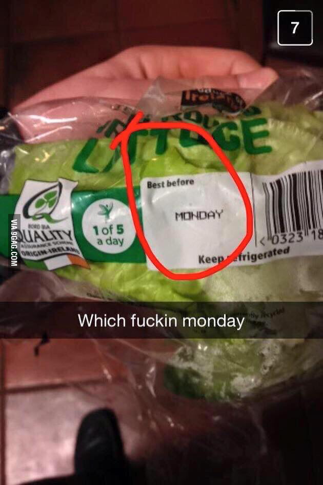 Which F King Monday 9GAG