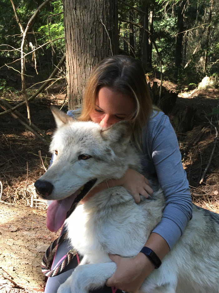 Today I got to give a wolf a hug and a kiss. Lifelong dream achieved ...