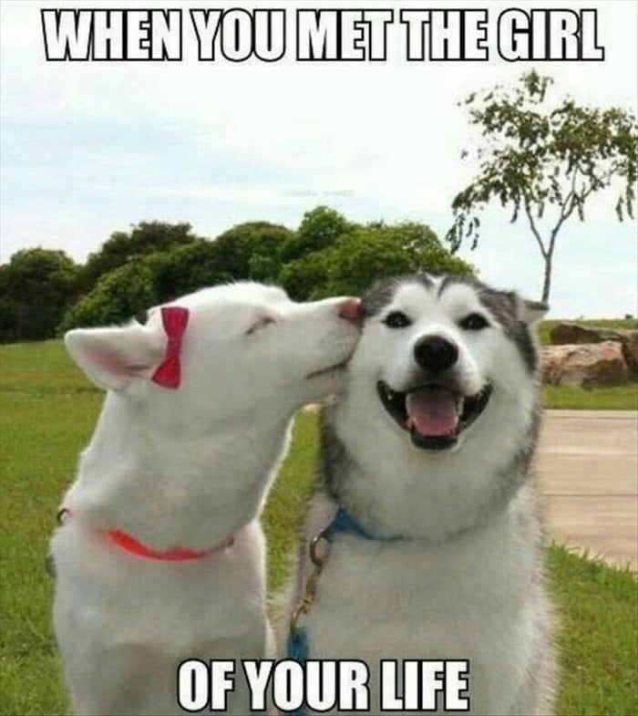 When You Met The Girl of your Life - 9GAG