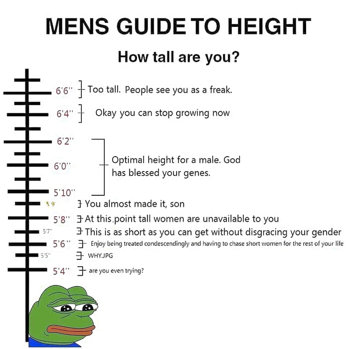 I'm 6'33. 