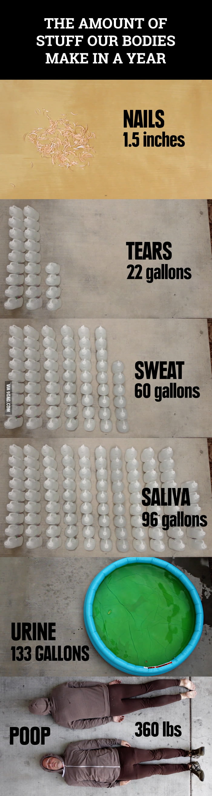 how-much-stuff-does-your-body-make-in-a-year-9gag