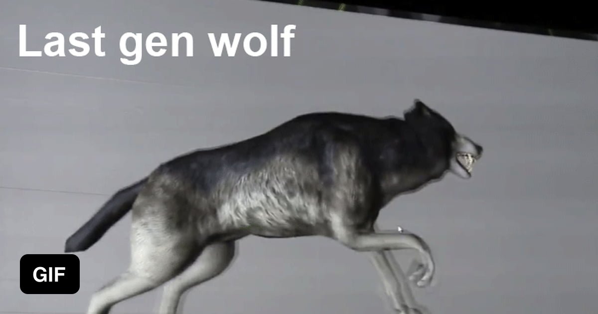 Next Gen Wolf - 9GAG