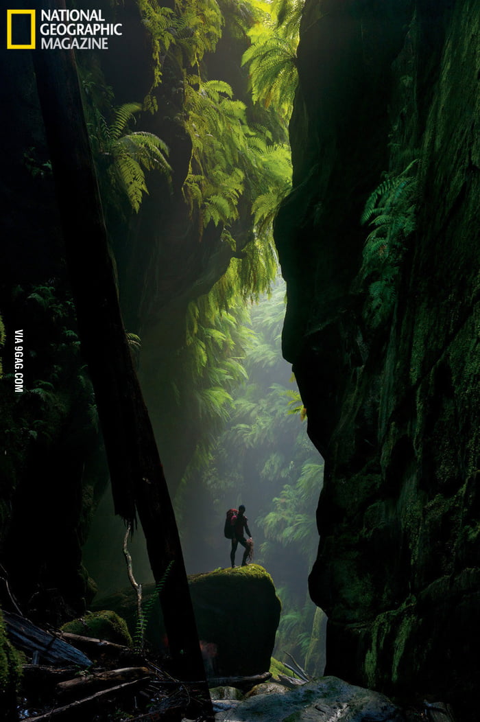 Claustral Canyon hidden in Australia's Blue Mountains - 9GAG