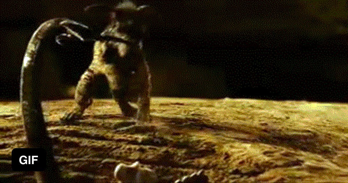 Собака из риддика