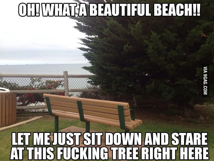 😊 Do trees give us oxygen. How Do Trees Produce Oxygen?. 20190213