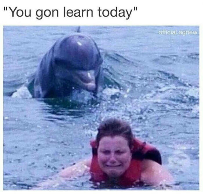 you gonna learn today