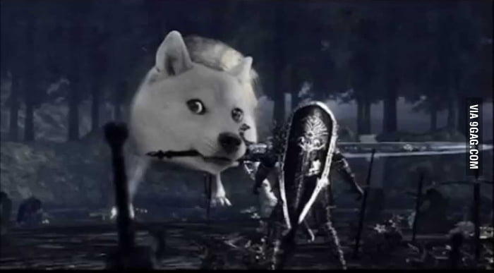 Dark souls 3 new boss announced: Great Gray Shiba - 9GAG