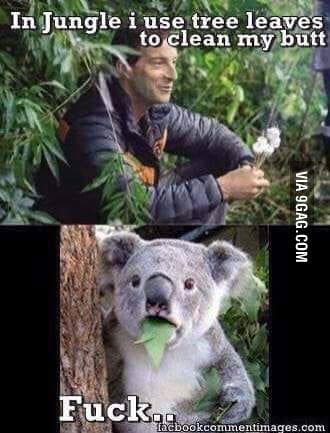 In the jungle - 9GAG