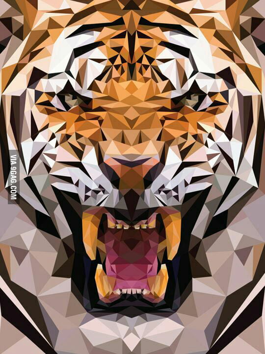 So, found this tiger on the internet - 9GAG